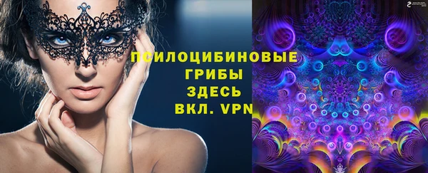 дурь Белоозёрский