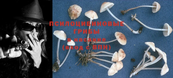 дурь Белоозёрский