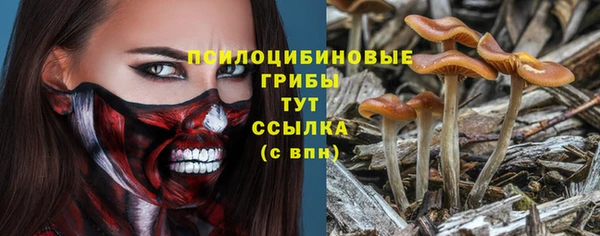 Альфа ПВП Белокуриха