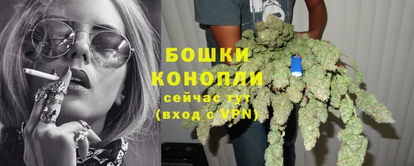 Альфа ПВП Белокуриха