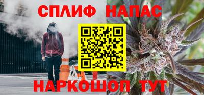 спиды Камышлов