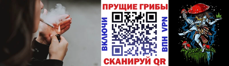 Галлюциногенные грибы MAGIC MUSHROOMS Луховицы